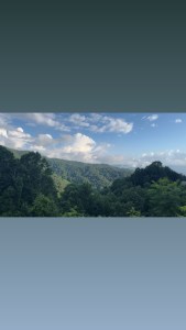 the view from the top