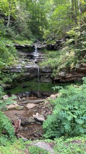 The fall known only as little roadside falls less than a mile from Cathedral Falls 