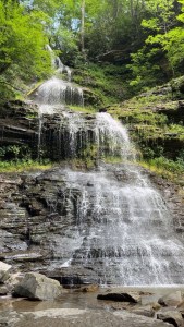 Cathedral Falls  Gauley Bridge WV mid summer 