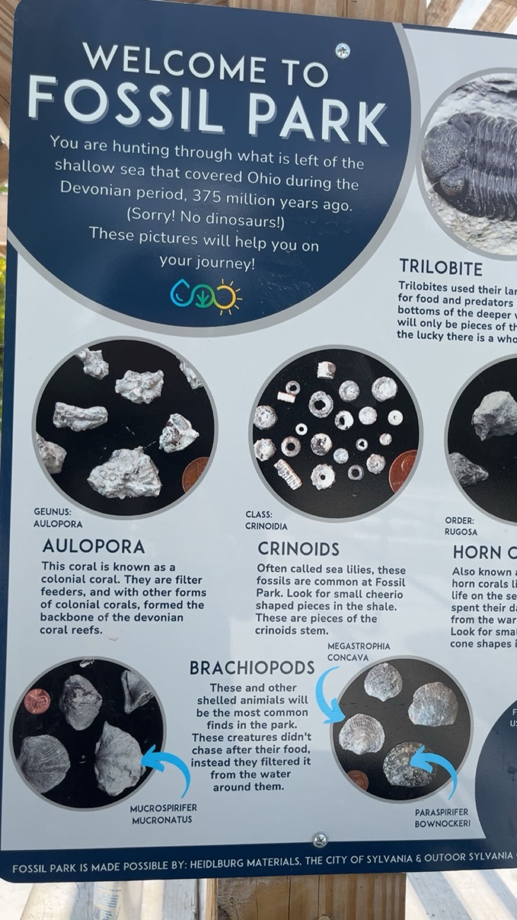 Second Fossil Hunt at Fossil Park, Ohio – Found a Heart-Shaped Fossil&nbsp;Rock