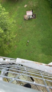 The gang from way up top The tower. 