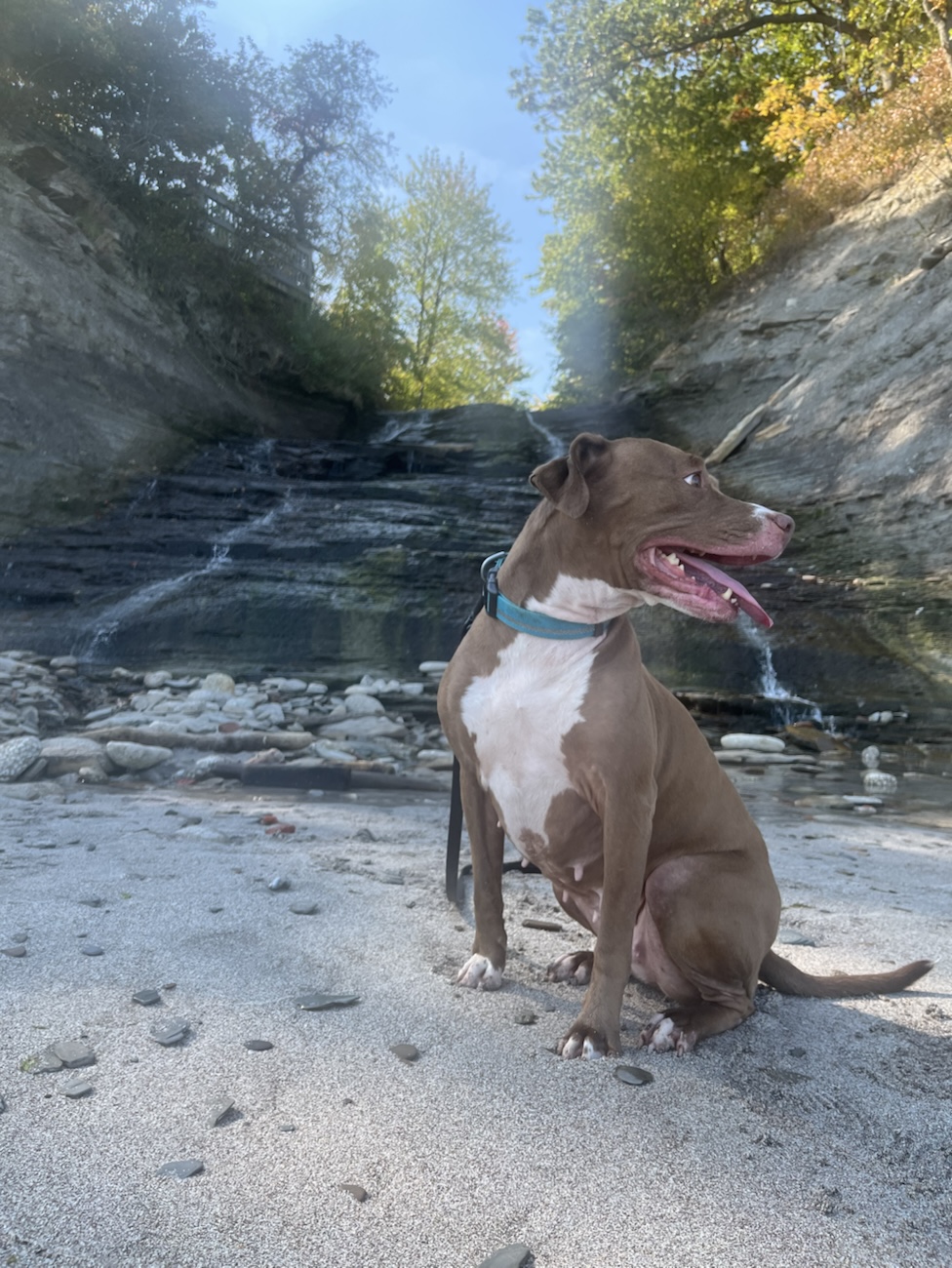 The September Trip: I forgot Falls & Castles in&nbsp;Ohio