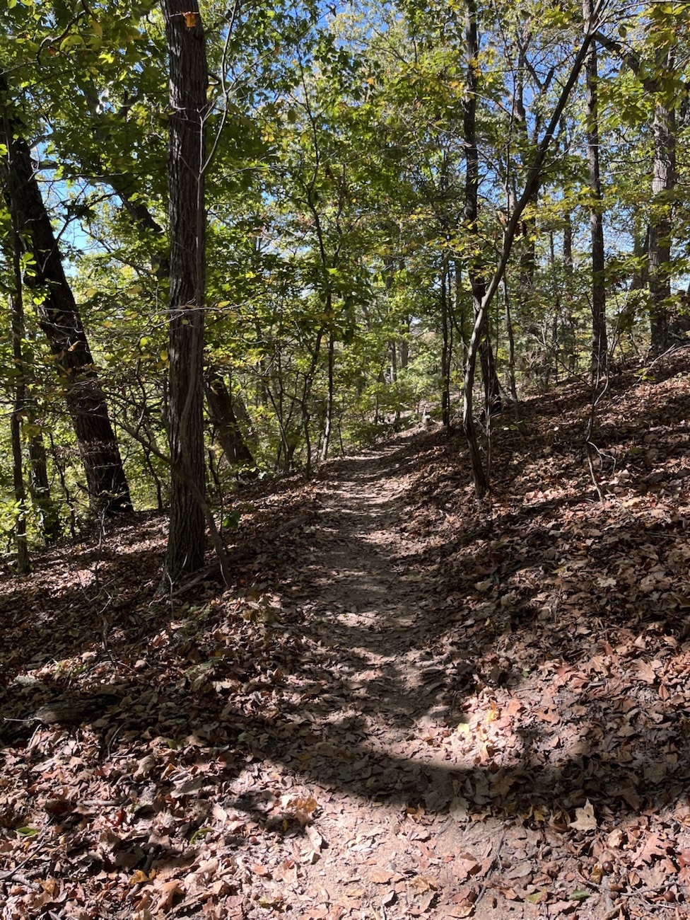 Edge of Appalachia Preserve pre-fall