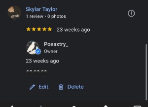 Sky Taylor 5 stars Google Business