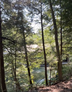 Trees, river , and side view of covered bridge. Photo taken from trail
