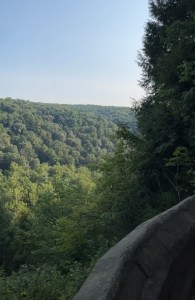 View of Mohican state Forrest from the Overlok