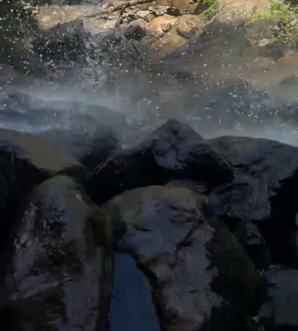 Between the Safe and the Wild: What Are You&nbsp;Chasing?