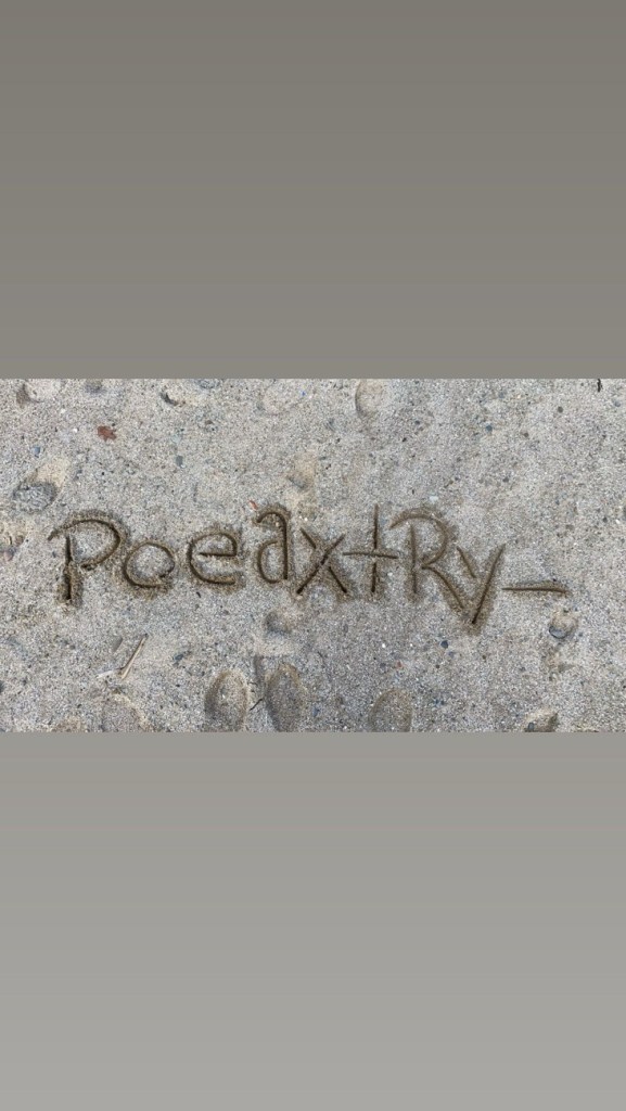 Day 12 Poem of 100 Days, “2026”, Manifesting through&nbsp;Poetry