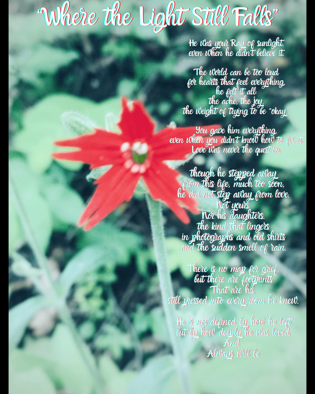 Photo Axton Mitchell took of a red flower with Where the Light still Falls over the photo in white text