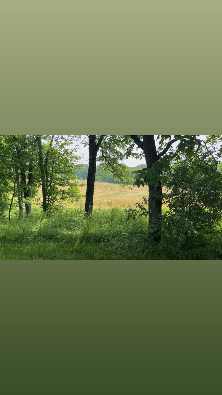 The view exiting the trail at glenford preserve, has trees, yellow grass, green grass, and open skies