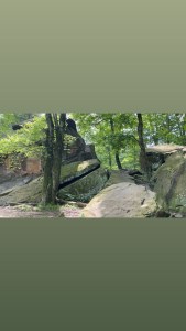 Huge rocks with trees growing on top on the trail to Cascade Falls