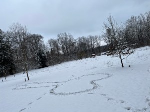 A found penis in the snow. 