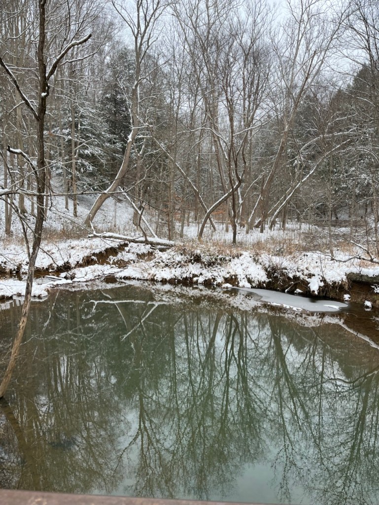 Winter Quiet at Conkle’s Hollow: Gorge Trail Snow-Covered&nbsp;Hike
