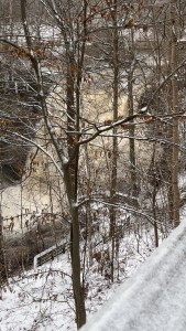 Straight on view of Brandwine falls wintertime.