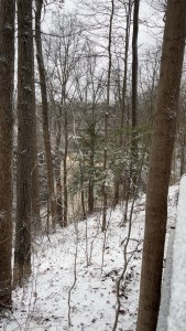 Brandywine falls December 2025 in the distance fresh snowfall