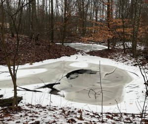 A small frozen pond at Flint Ridge in Licking country ohio. some some holes in the ice, snow dusted woods floor and bare trees