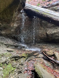 Another fall at Piatt park