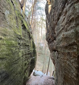 mid way down the steps view