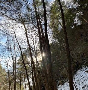 A view of the rock wall formations at conkles hollow with snow, bare trees, sunshine, and vibes showing
