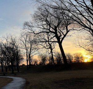 Barren trees sunset and the heath ohio mound