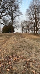 Another view of the mound no snow dead grass and bare trees 