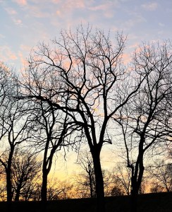 Pinks and oranges make up the blue sky before sunset in heath, Ohio 