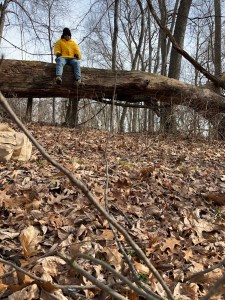 Axton In jeans, a yellow jacket, black hat, and cunglasses sits on a down tree with fall leaves and bare trees around him 