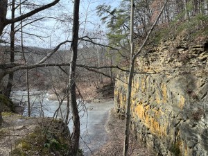 Pond- Frozen Cliffs Filled with bare trees 