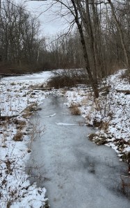 Frozen Stream surrounded by snow