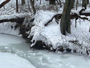 Frozen creek surrounded by snow
