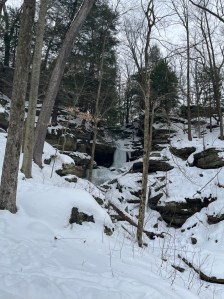 The First Frozen Fall Surrounded by trees
