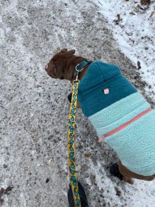 Luna in her blue coat on the maintenance screws leading up to the trail 
