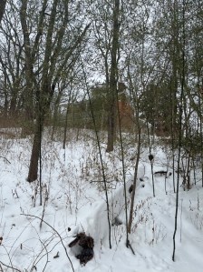 The house on the hill surrounded by snow and bare trees 