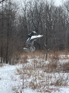 Bibbi from the side surrounded by trees and snow 