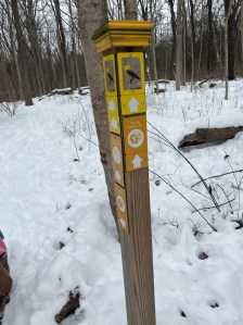 A nicely marked trail sign surrounded by snow 
