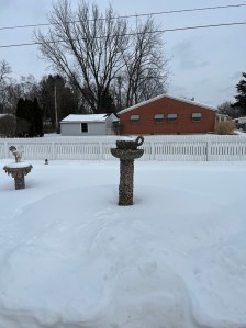 The coffee cup but it’s full of snow