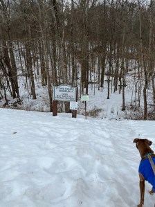 Luna in a blue tshirt surrounded by snow at the trail head