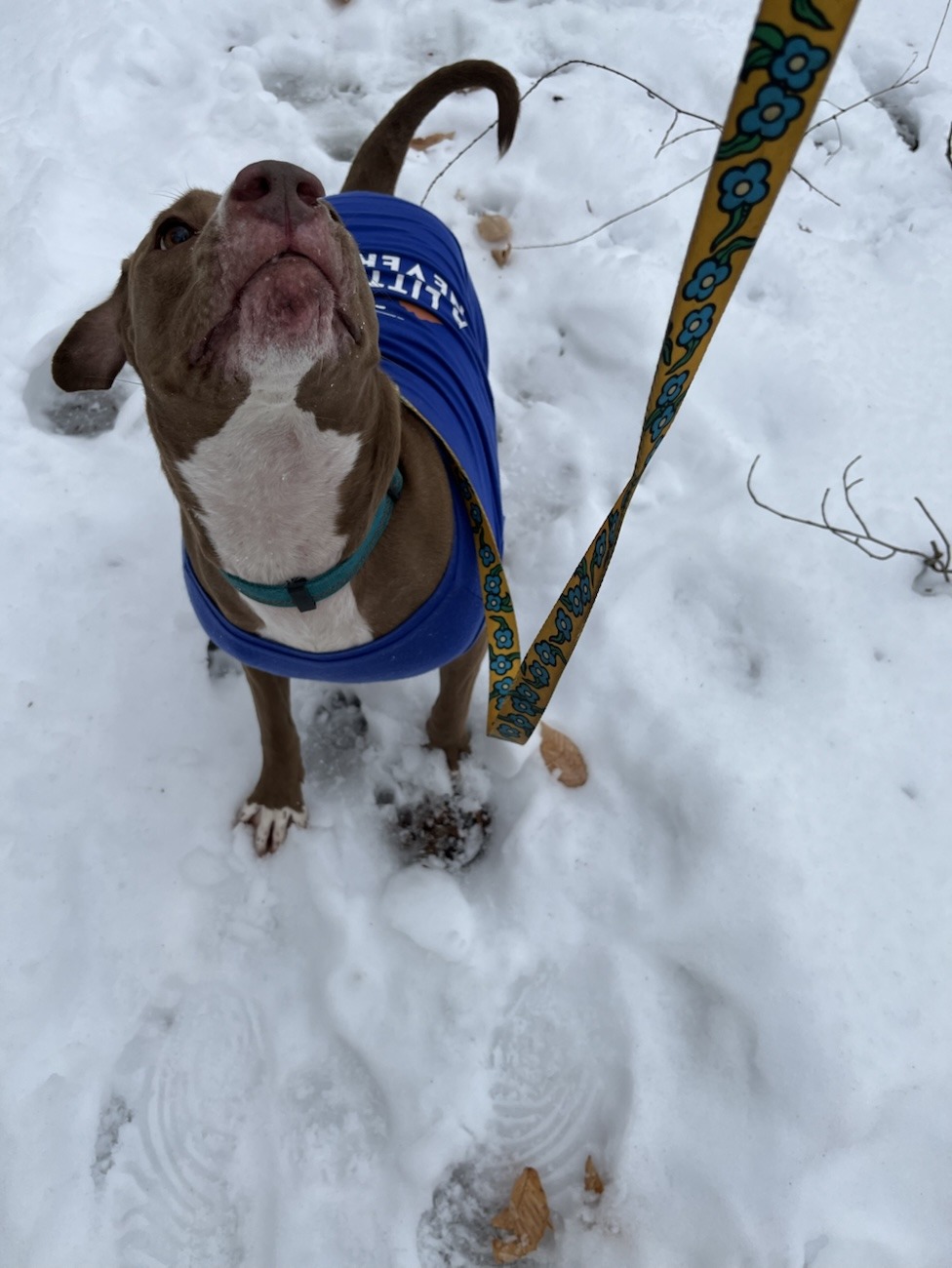 Salt Fork Kennedy Stone House – 1 Beautiful Winter Hike: