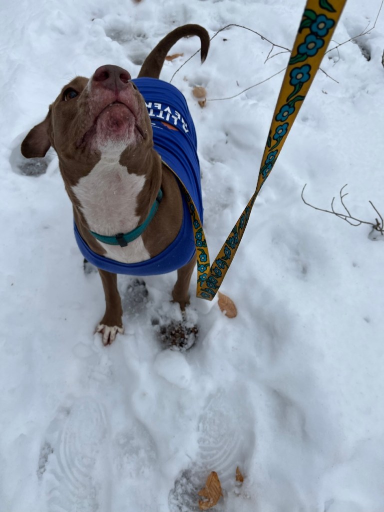 Salt Fork Winter Hike: Kennedy Stone House & The Weight of the&nbsp;Land