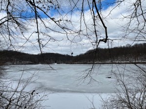 Salt fork lake mostly frozen surrounded by the bare winter branches and evergreens with sky’s of blue