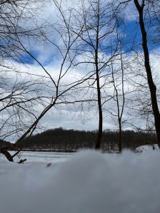 A view of salt fork lake from witching the trees and snow