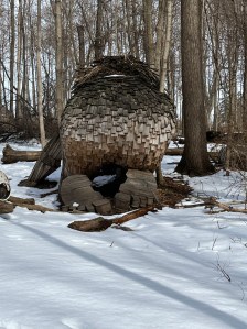 Bodil from behind as we approach her on the trail surrounded by snow