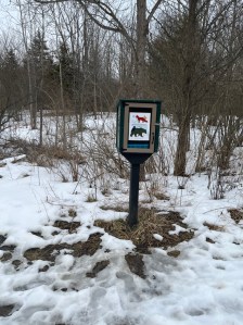 Dublin, Ohio free art box surrounded by dying grass and melting snow 