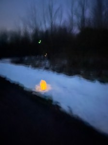 The last bit of the sun, winter bare trees, snow , blurry, a milk jug with a fire safe candle in it 