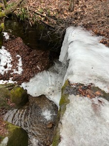 Dead leaves and moss line the waterfall and stream of a partially thawed waterfall at Rockbridge trail 