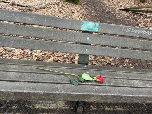 A red rose on a wooden park bench i found along sitting there along a train in hocking hills, with dead leaves and forest foliage lining the trail.