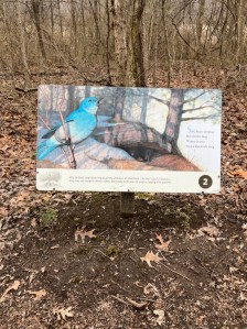 Dead leaves and dirt form the ground around a wooden sign with a blue bird and the second page of the story 