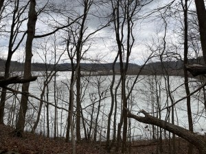 View of Dillon Lake through the winter leaf bare trees, foothills in the back dead leaves and winter foliage cover the forest trail. 