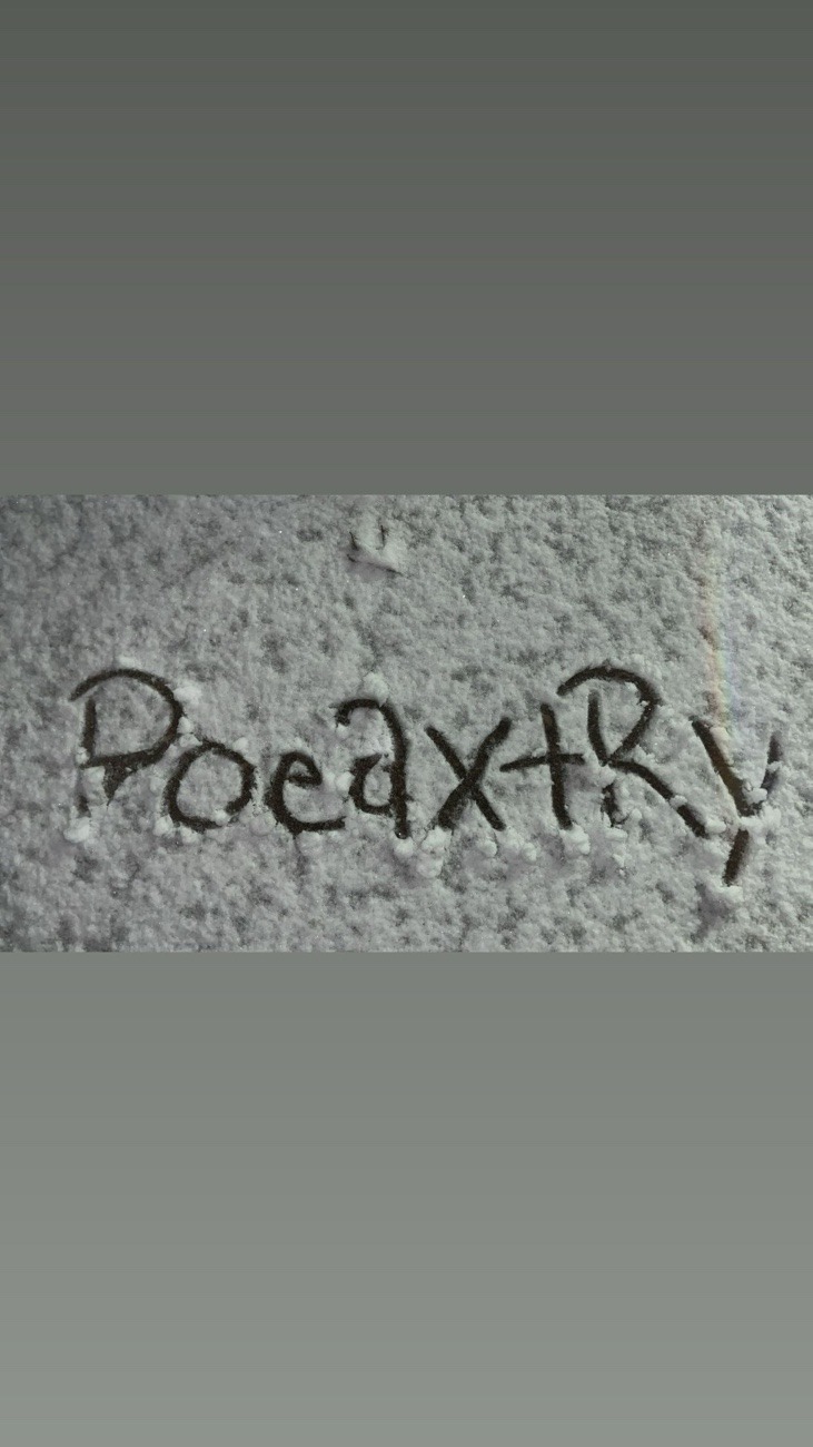 The 2026 Pivot: Navigating Ohio’s New Cannabis Landscape