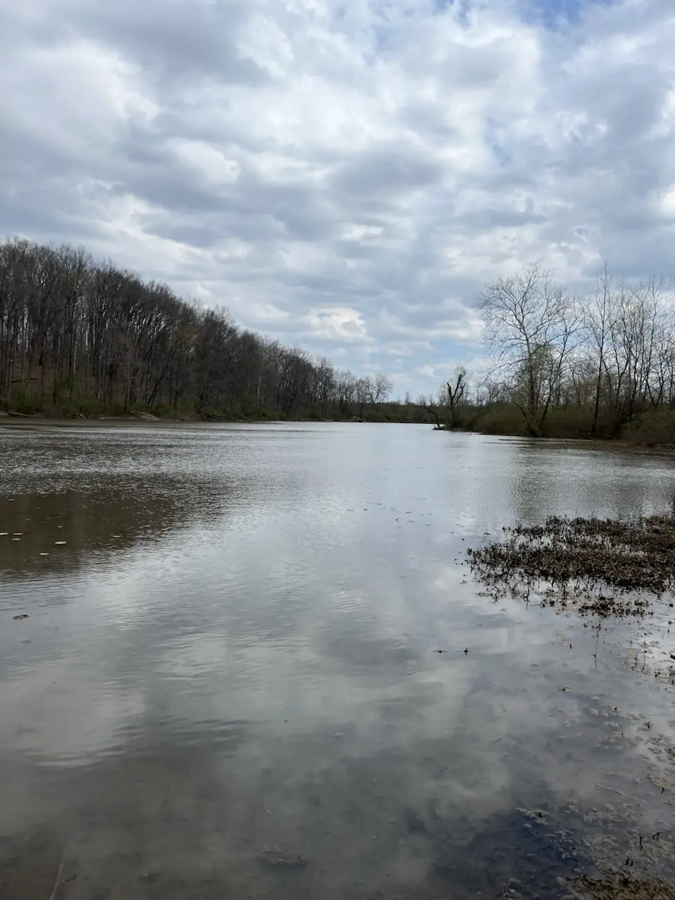 completely still murky lake, lined with spring trees and green growth, blue skies, and fluffly white clouds.